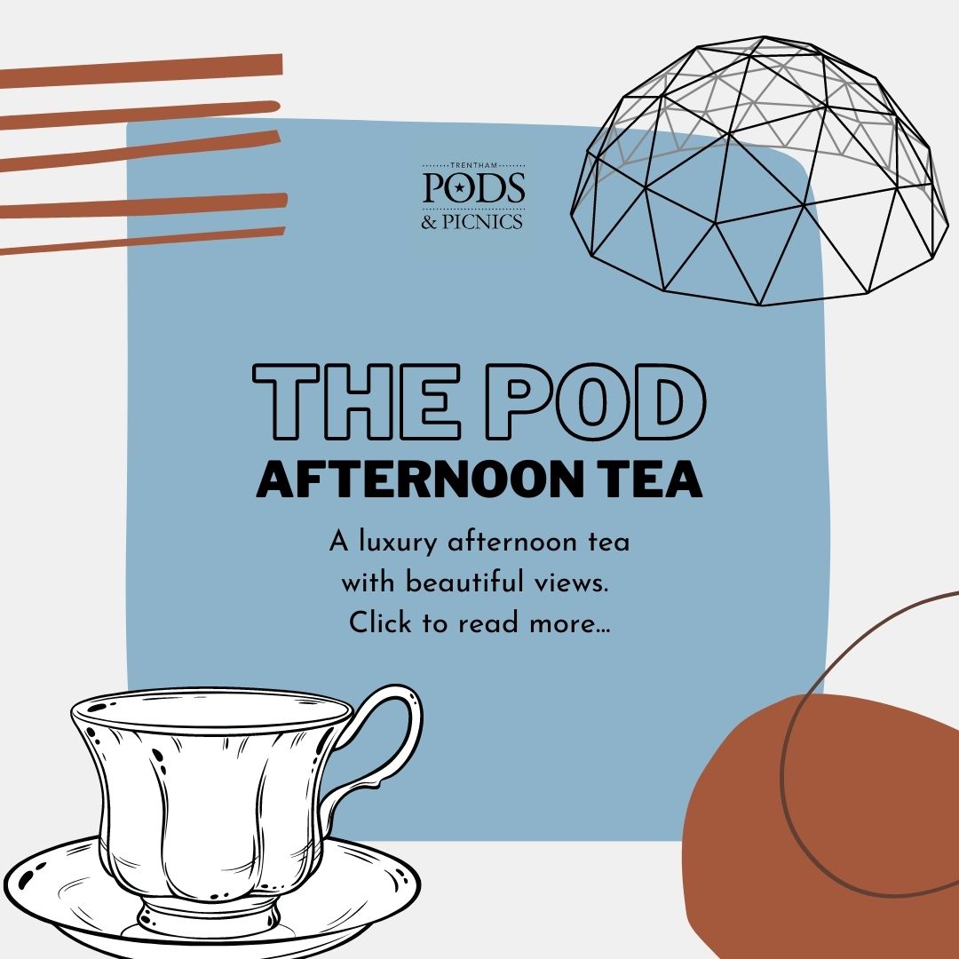 The Pod Afternoon Tea