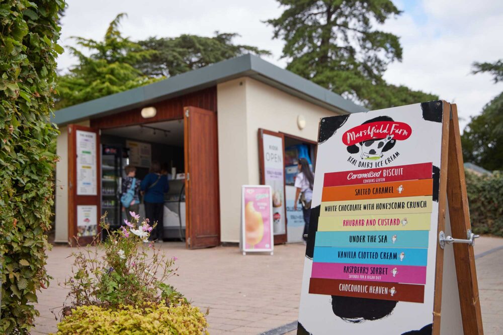 The Kiosk